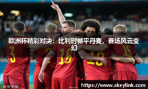 欧洲杯精彩对决：比利时憾平丹麦，赛场风云变幻
