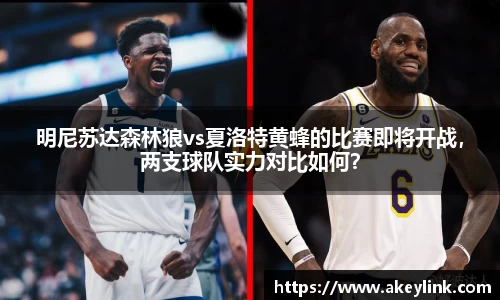 明尼苏达森林狼vs夏洛特黄蜂的比赛即将开战，两支球队实力对比如何？