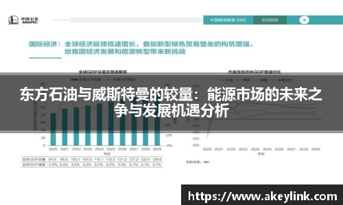 东方石油与威斯特曼的较量：能源市场的未来之争与发展机遇分析